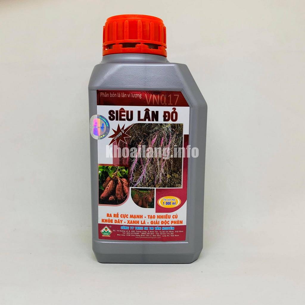 112317762_315268412958032_5921151084589325564_n