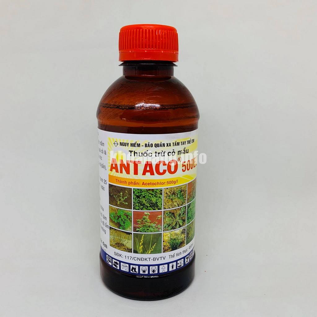 116019614_671475093441036_306066593522601518_n_resize