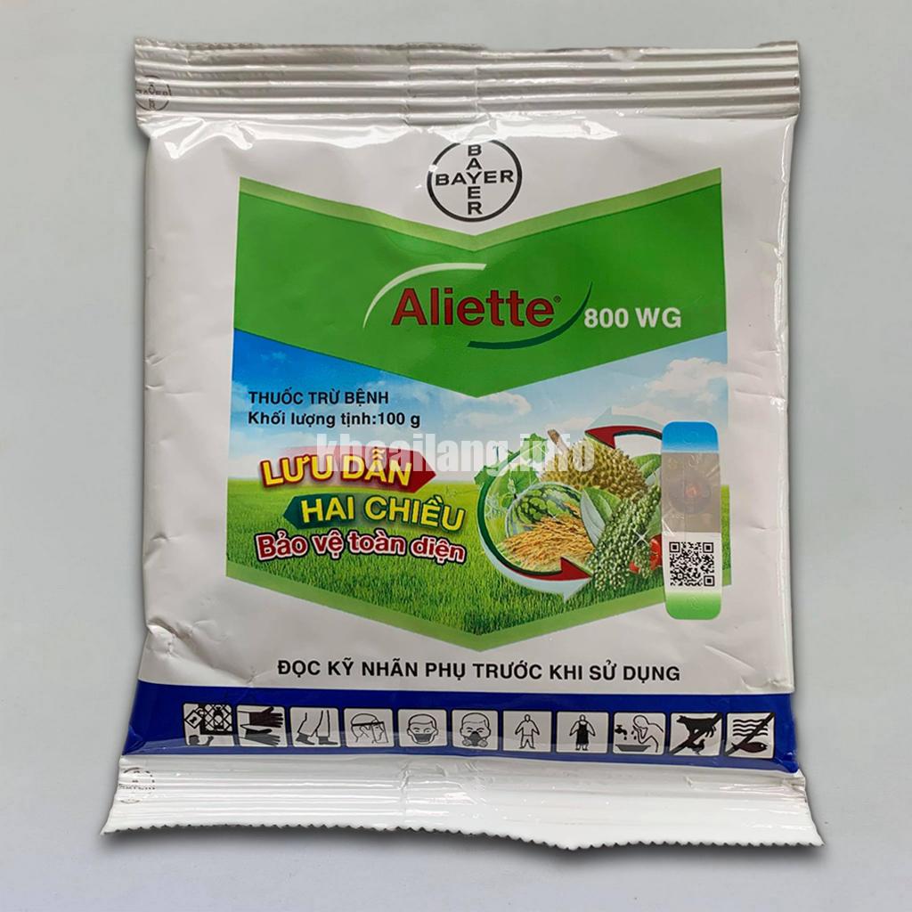 116726797_573099873382339_7228989408661265858_n